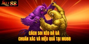 Cách Soi Kèo Đá Gà