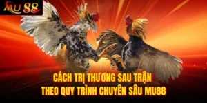Cách trị thương sau trận
