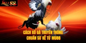 Cách Xổ Gà