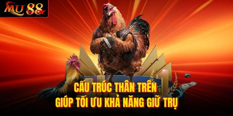 Cấu trúc thân trên giúp tối ưu khả năng giữ trụ