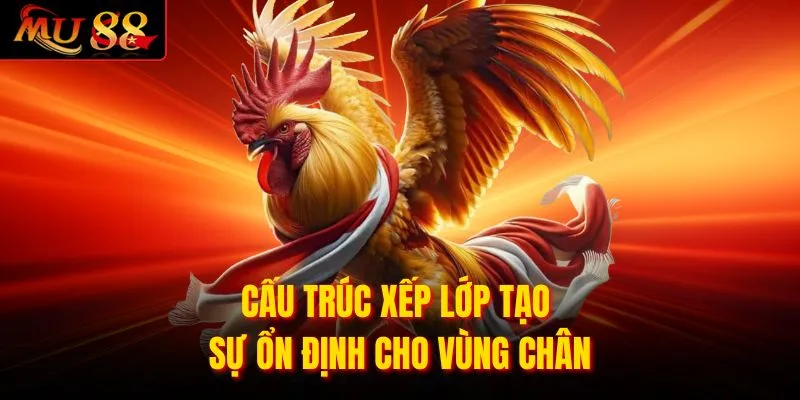Cấu trúc xếp lớp tạo sự ổn định cho vùng chân