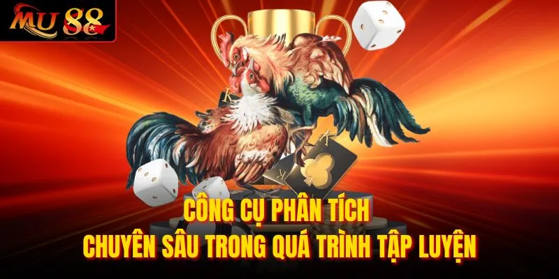 Công cụ phân tích chuyên sâu trong quá trình tập luyện