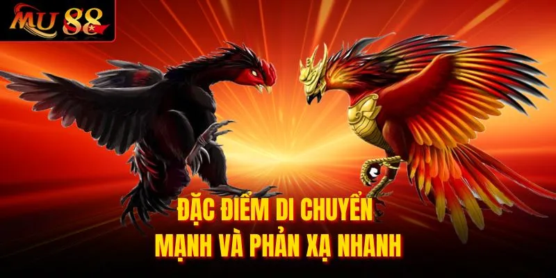 Đặc điểm di chuyển mạnh và phản xạ nhanh