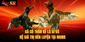 Gà có thần kê là gì