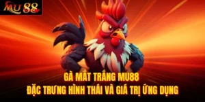 Gà mắt trắng