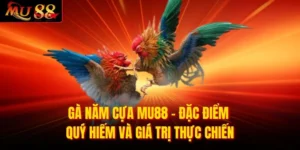 Gà năm cựa