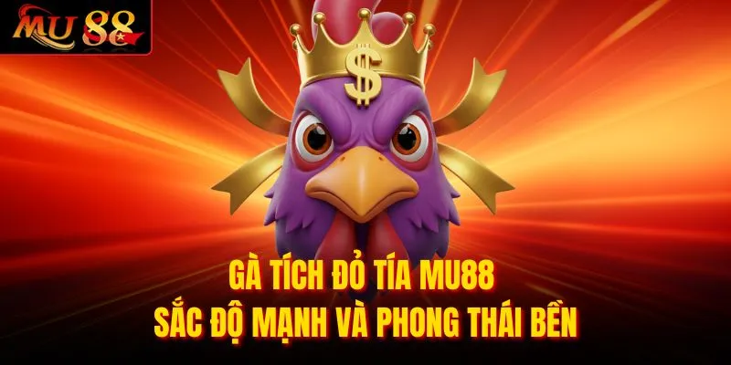 Gà Tích Đỏ Tía