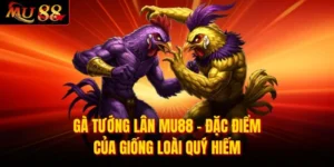Gà Tướng Lân