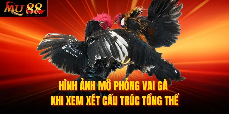 Hình ảnh mô phỏng vai gà khi xem xét cấu trúc tổng thể