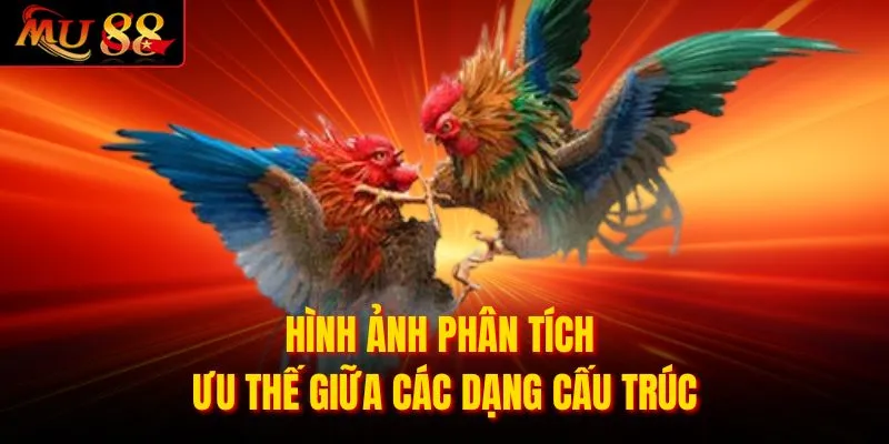 Hình ảnh phân tích ưu thế giữa các dạng cấu trúc