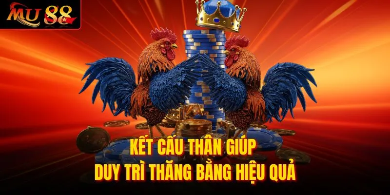 Kết cấu thân giúp duy trì thăng bằng hiệu quả