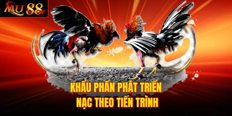 Khẩu phần phát triển nạc theo tiến trình