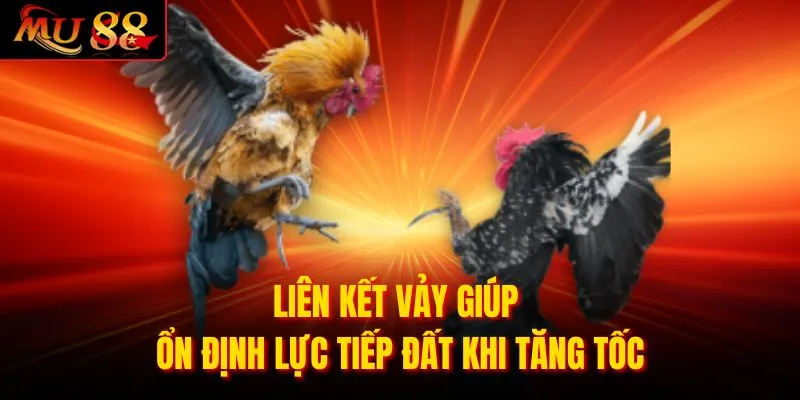 Liên kết vảy giúp ổn định lực tiếp đất khi tăng tốc