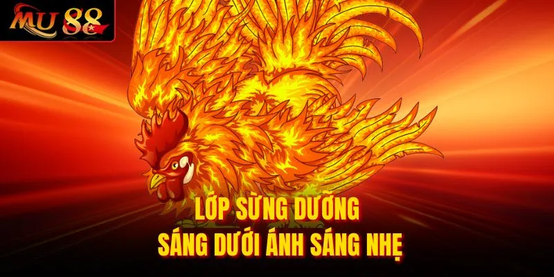 Lớp sừng dưỡng sáng dưới ánh sáng nhẹ