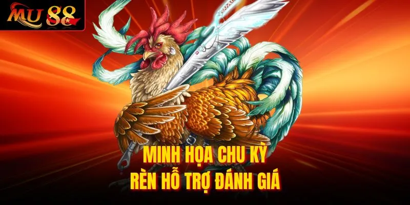 Minh họa chu kỳ rèn hỗ trợ đánh giá
