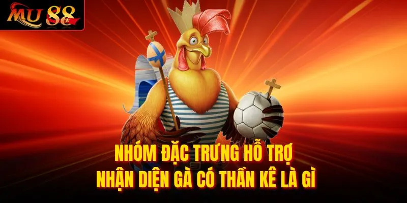 Nhóm đặc trưng hỗ trợ nhận diện gà có thần kê là gì