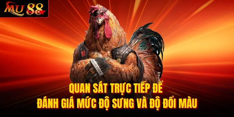 Quan sát trực tiếp để đánh giá mức độ sưng và độ đổi màu