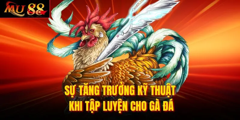 Sự tăng trưởng kỹ thuật khi tập luyện cho gà đá