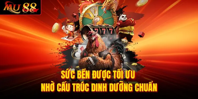 Sức bền được tối ưu nhờ cấu trúc dinh dưỡng chuẩn