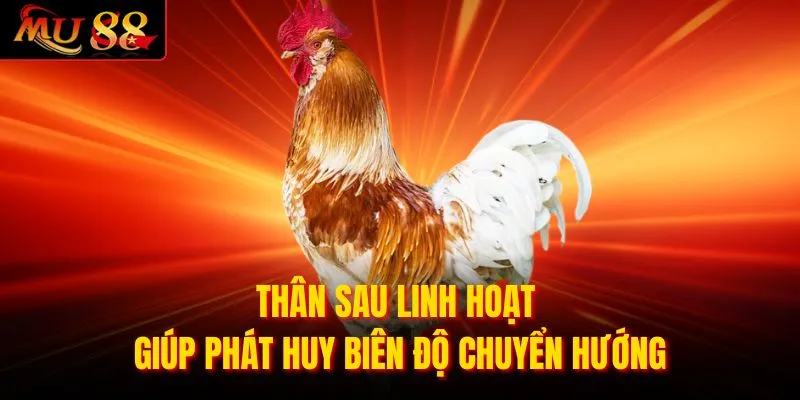 Thân sau linh hoạt giúp phát huy biên độ chuyển hướng