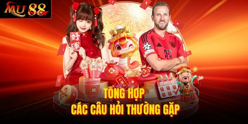 Tổng hợp các câu hỏi thường gặp