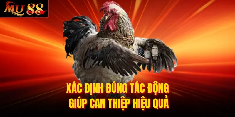 Xác định đúng tác động giúp can thiệp hiệu quả